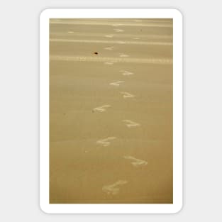 Footprints in the sand Sticker